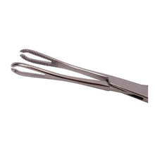 Load image into Gallery viewer, 7" RAMPLEYS CLAMP