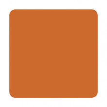 Load image into Gallery viewer, Eternal Ink Portrait Spice Tattoo Ink 30ml (1oz) - Ink Stop Consumables