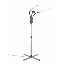 Load image into Gallery viewer, Gemini LED Floor Lamp - Ink Stop Consumables