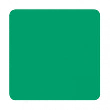 Load image into Gallery viewer, Eternal Ink Chukes Seasonal Spectrum Coral Green 30ml (1oz) - Ink Stop Consumables