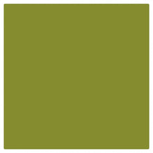 Load image into Gallery viewer, Eternal Ink Bryan Sanchez Watercolour - Avocado 30ml (1oz) - Ink Stop Consumables