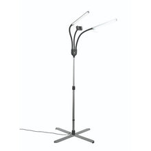 Load image into Gallery viewer, Gemini LED Floor Lamp - Ink Stop Consumables
