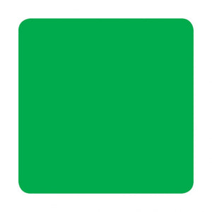Eternal Ink Spearmint Tattoo Ink - Ink Stop Consumables
