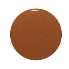 Load image into Gallery viewer, Complete Set of 12 Eternal Ink Muted Earth Colours 30ml (1oz) - Ink Stop Consumables
