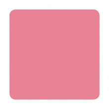 Load image into Gallery viewer, Eternal Ink Liz Cook Pepto Pink 30ml (1oz) - Ink Stop Consumables
