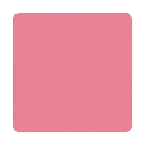 Eternal Ink Liz Cook Pepto Pink 30ml (1oz) - Ink Stop Consumables