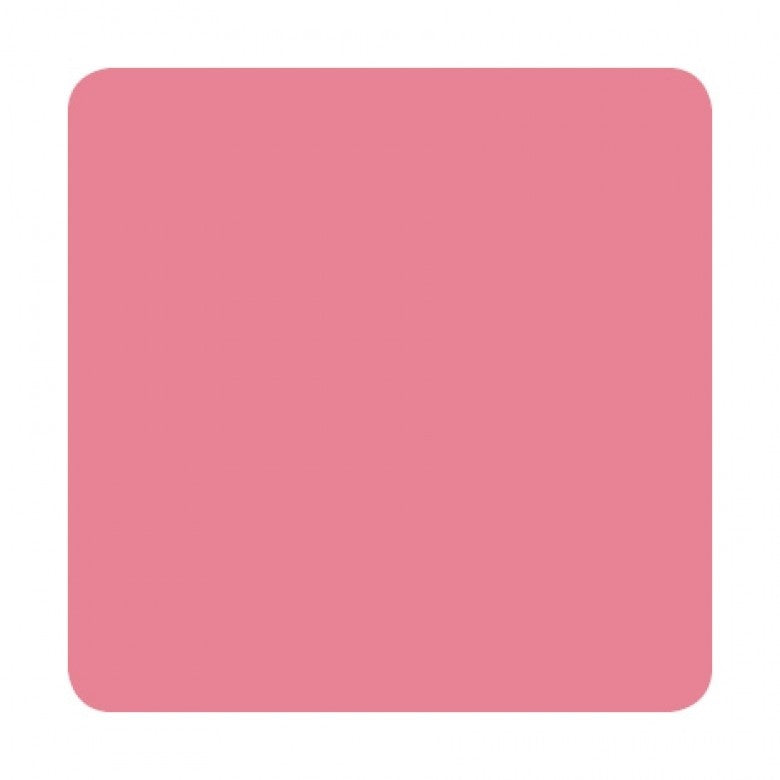 Eternal Ink Liz Cook Pepto Pink 30ml (1oz) - Ink Stop Consumables